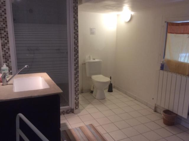 Appartement F1 Spacieux Hérépian